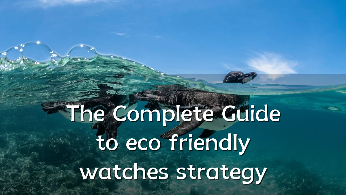 The Complete Guide to eco friendly watches strategy