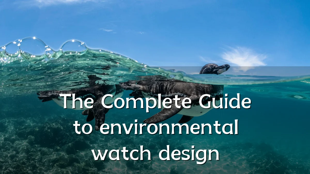 The Complete Guide to environmental watch design