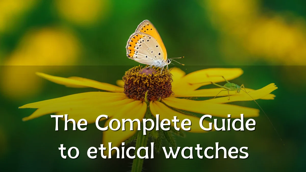 The Complete Guide to ethical watches
