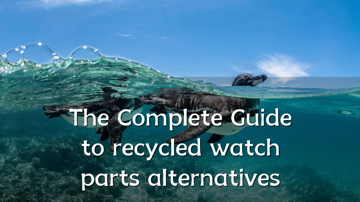 The Complete Guide to recycled watch parts alternatives