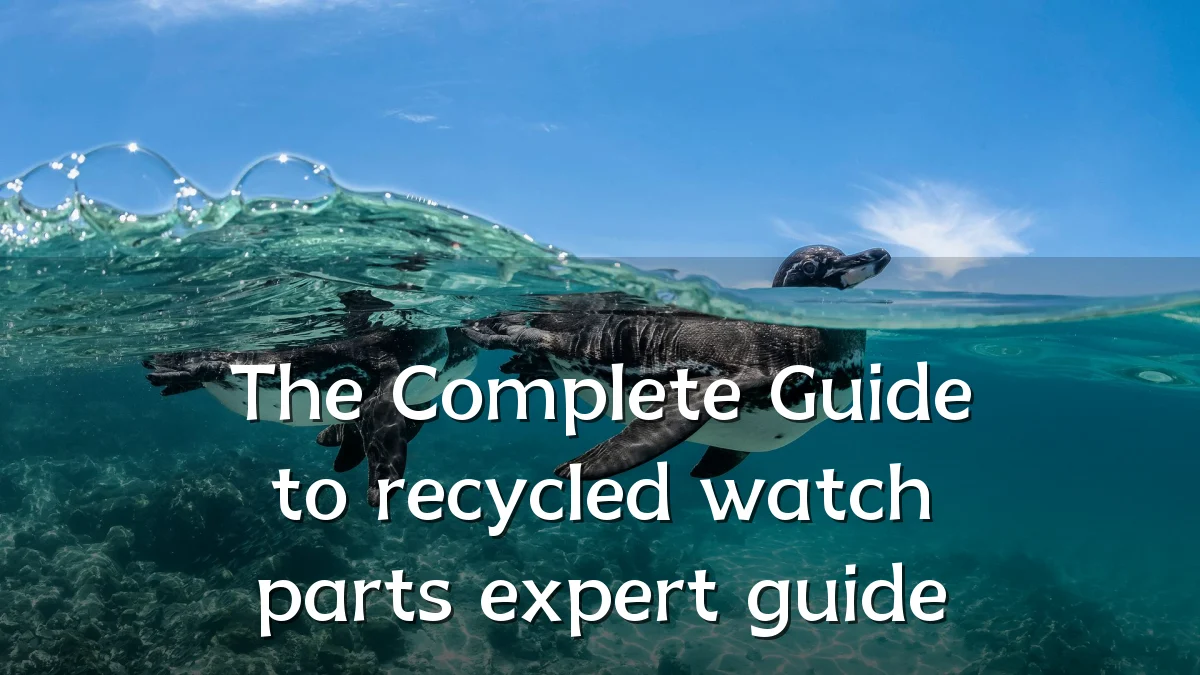 The Complete Guide to recycled watch parts expert guide