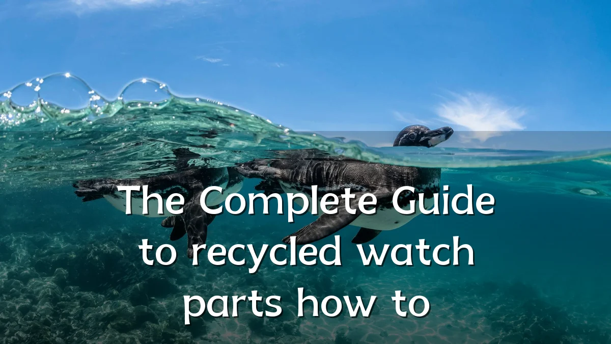 The Complete Guide to recycled watch parts how to