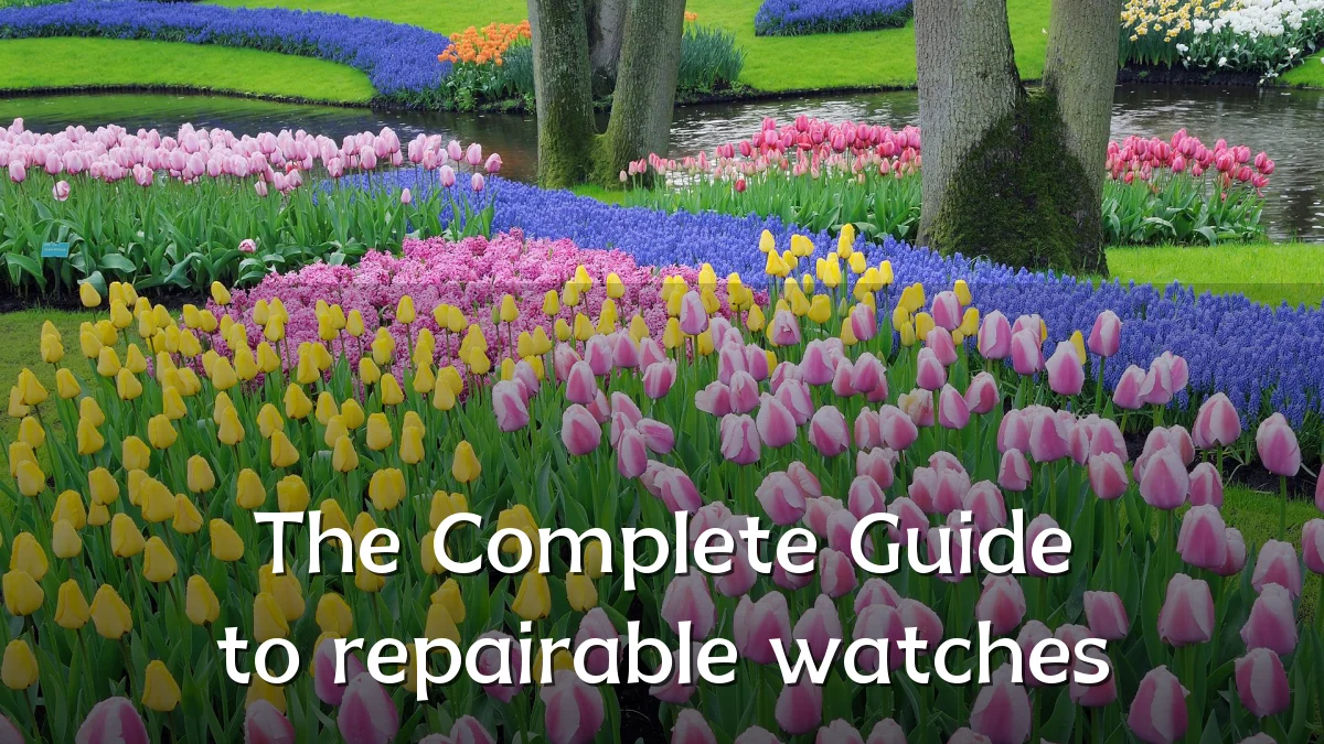 The Complete Guide to repairable watches