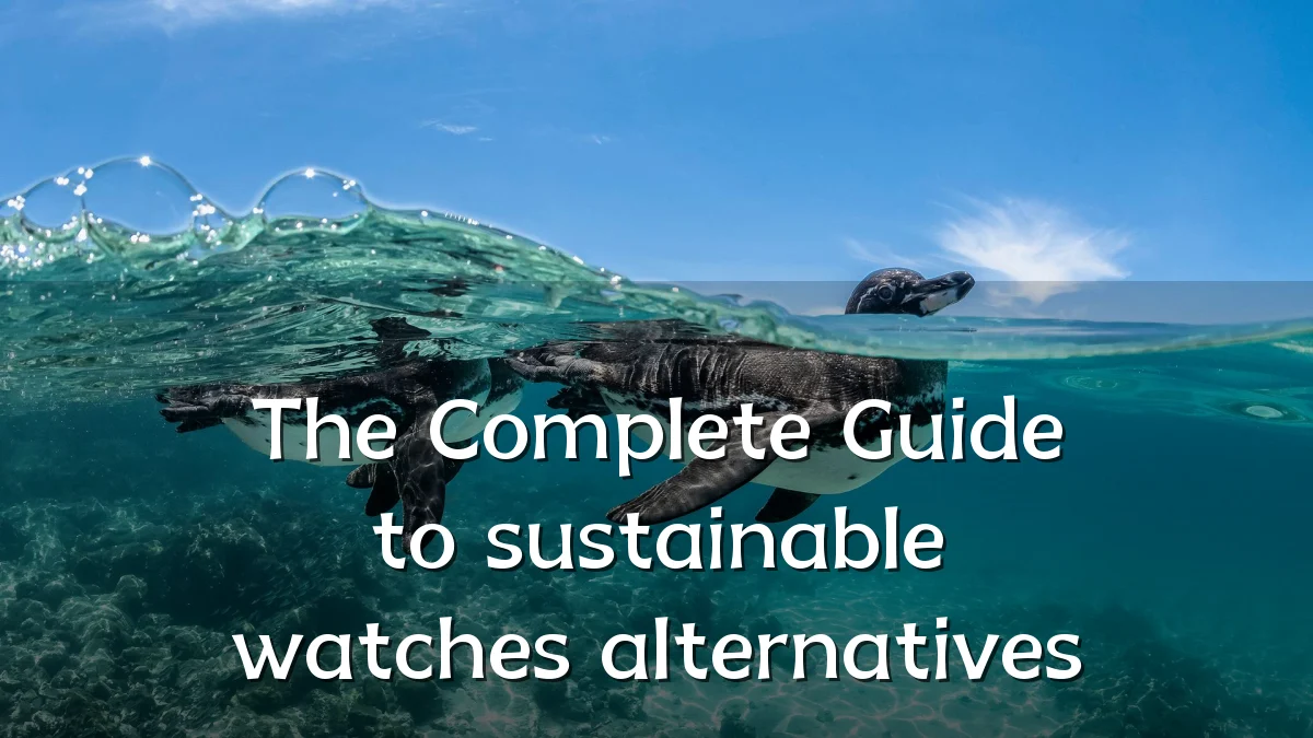 The Complete Guide to sustainable watches alternatives