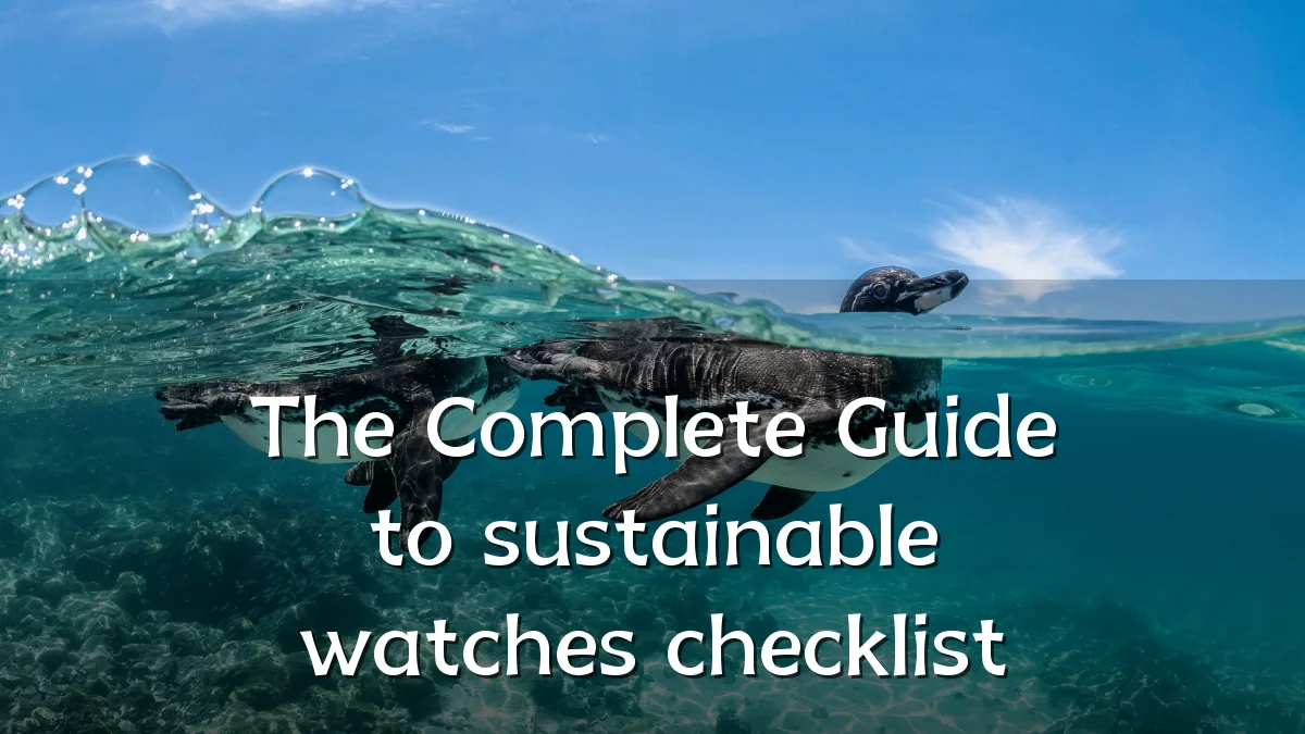 The Complete Guide to sustainable watches checklist