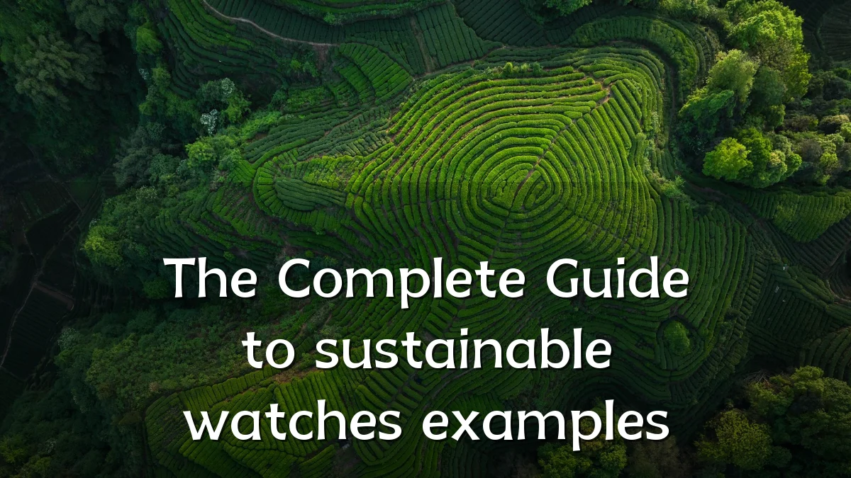 The Complete Guide to sustainable watches examples