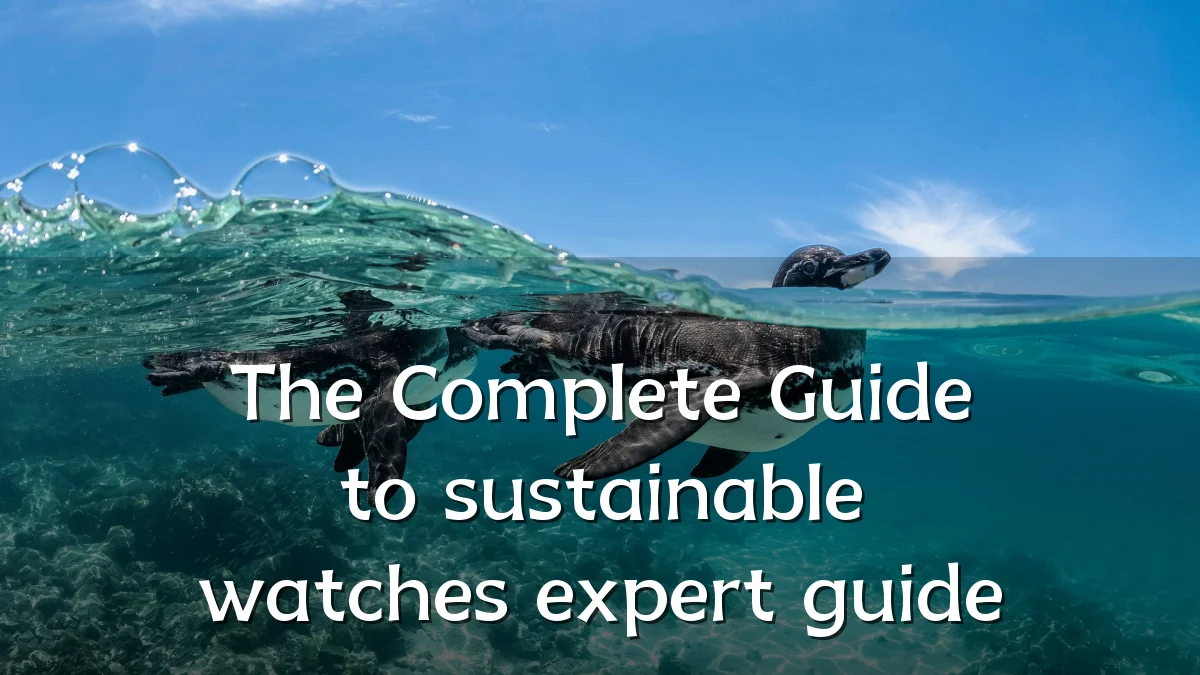 The Complete Guide to sustainable watches expert guide