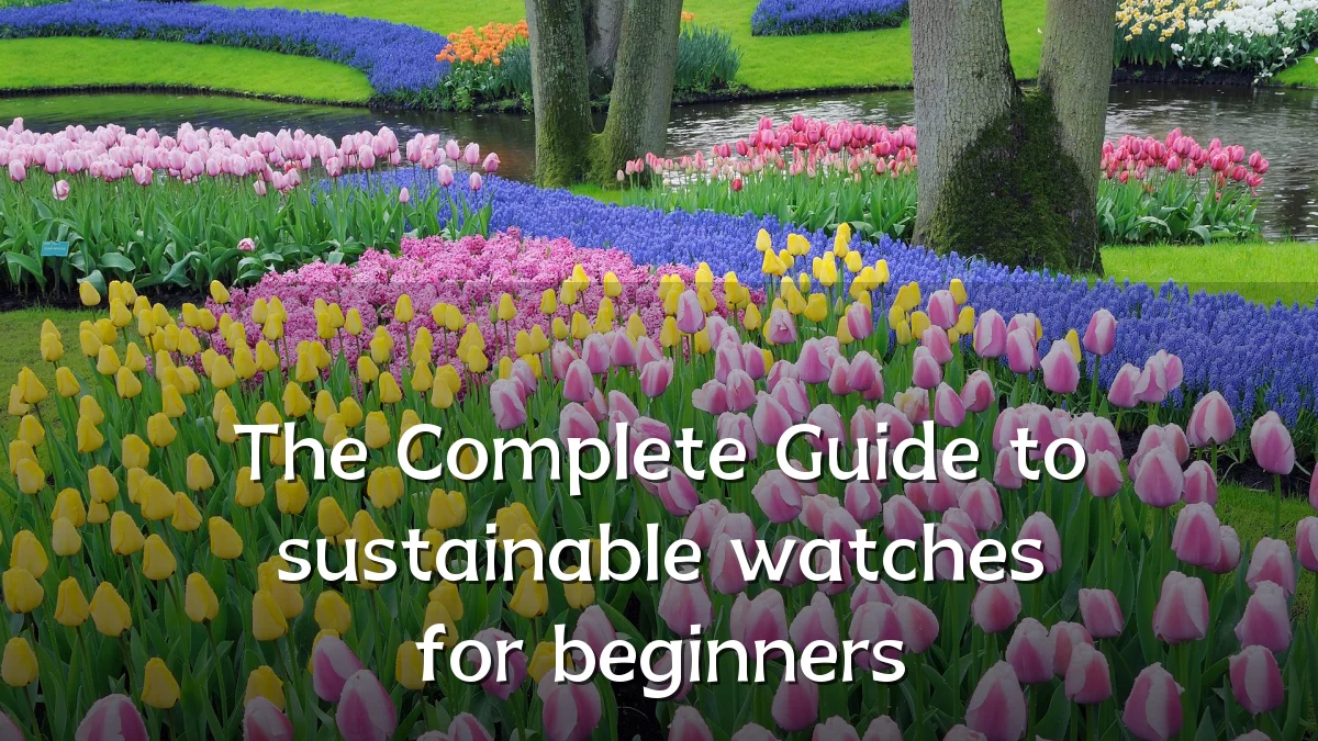 The Complete Guide to sustainable watches for beginners