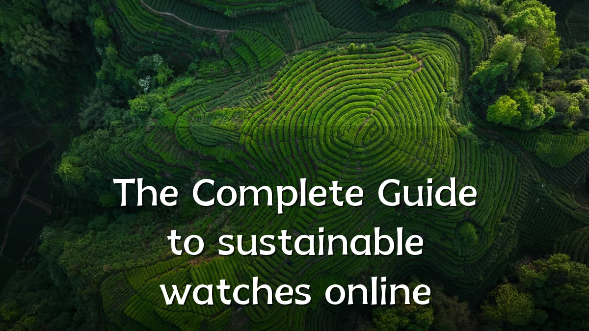 The Complete Guide to sustainable watches online