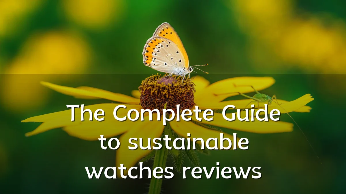 The Complete Guide to sustainable watches reviews