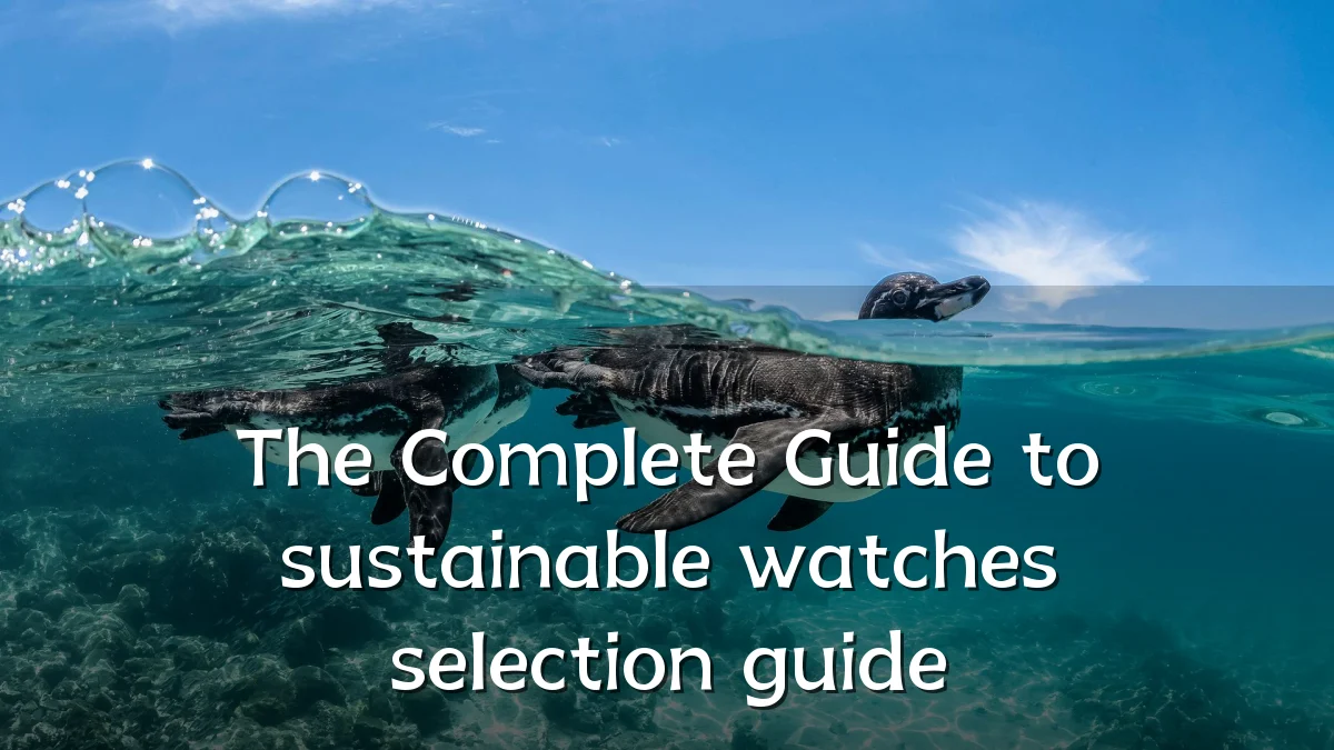 The Complete Guide to sustainable watches selection guide