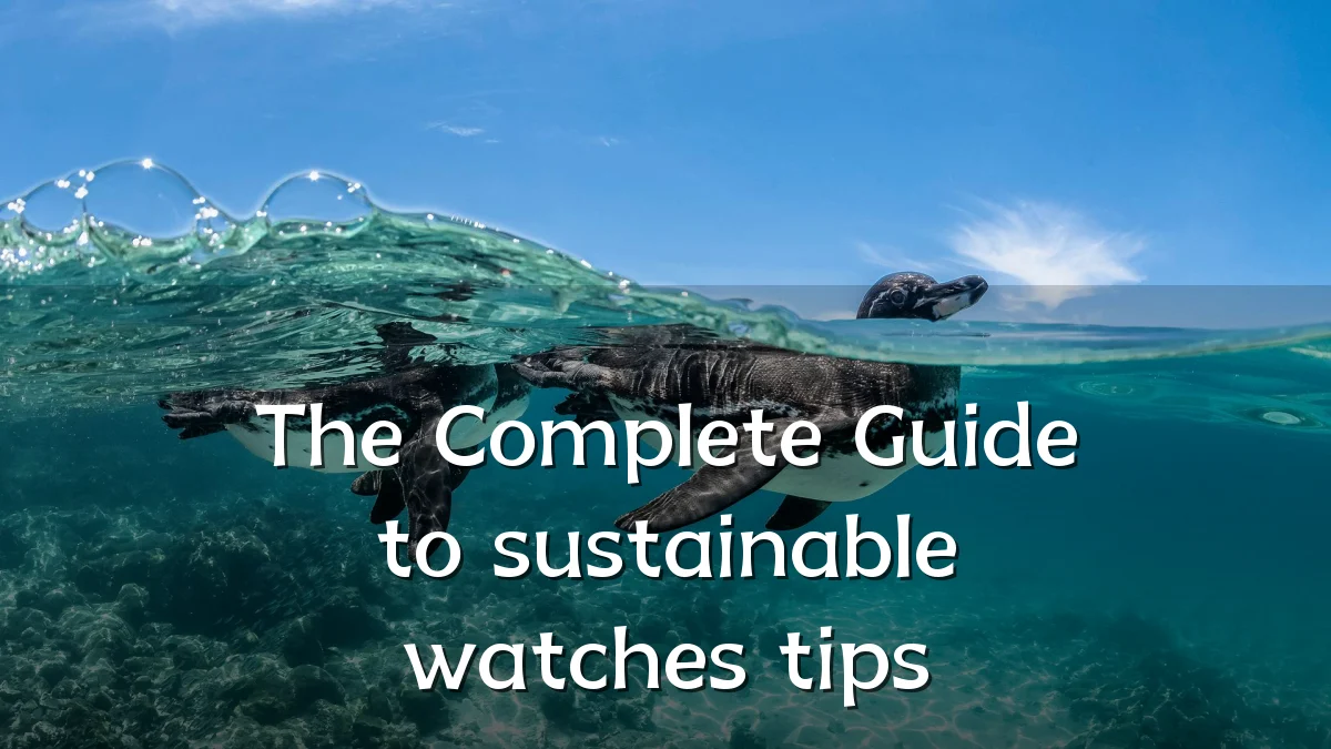 The Complete Guide to sustainable watches tips
