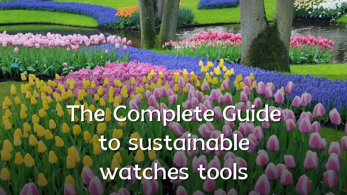 The Complete Guide to sustainable watches tools