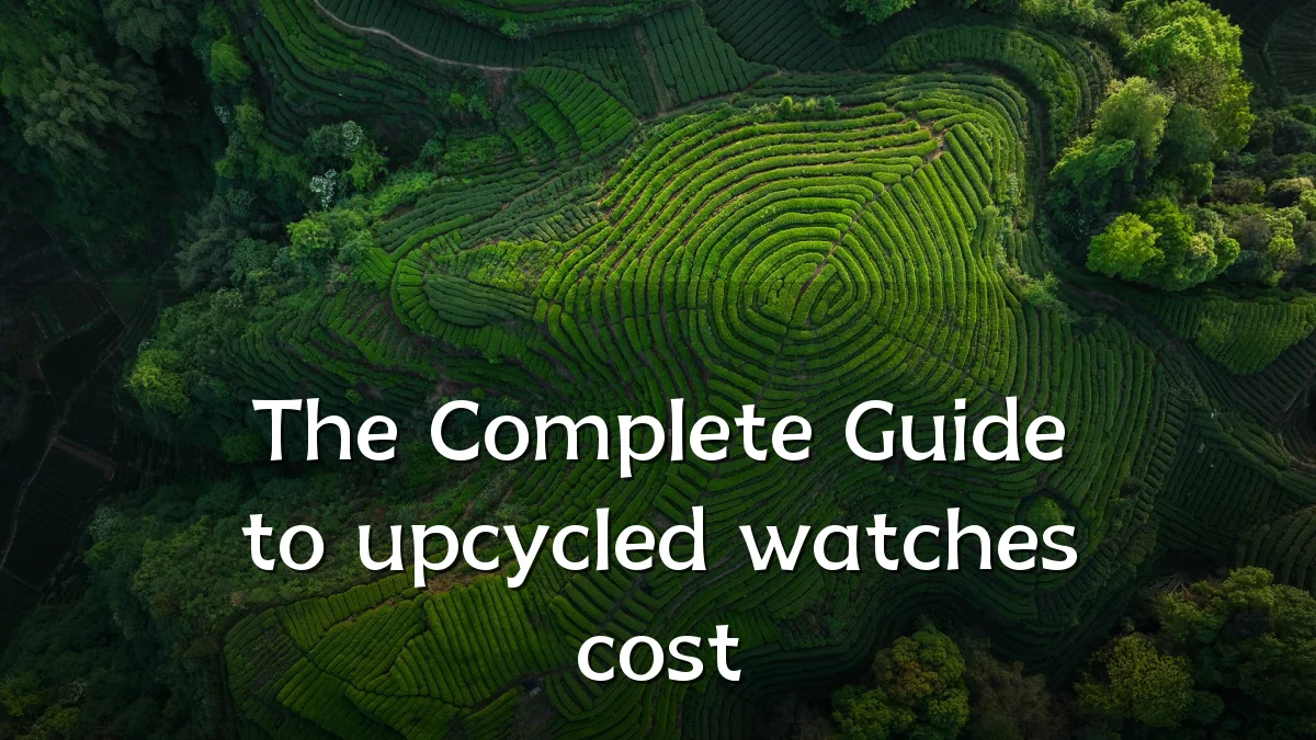 The Complete Guide to upcycled watches cost