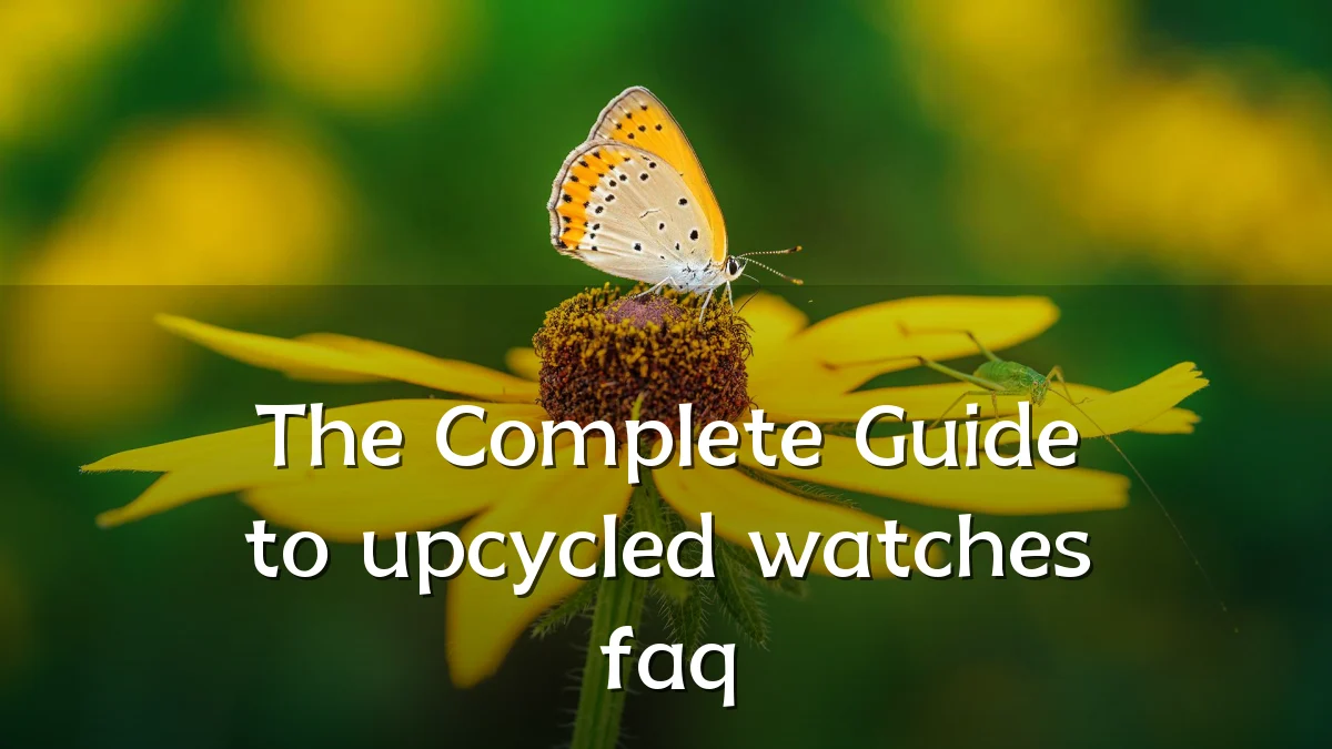 The Complete Guide to upcycled watches faq
