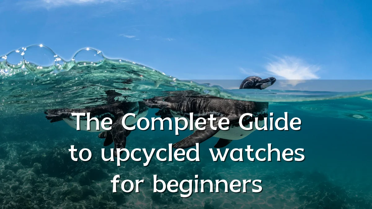 The Complete Guide to upcycled watches for beginners