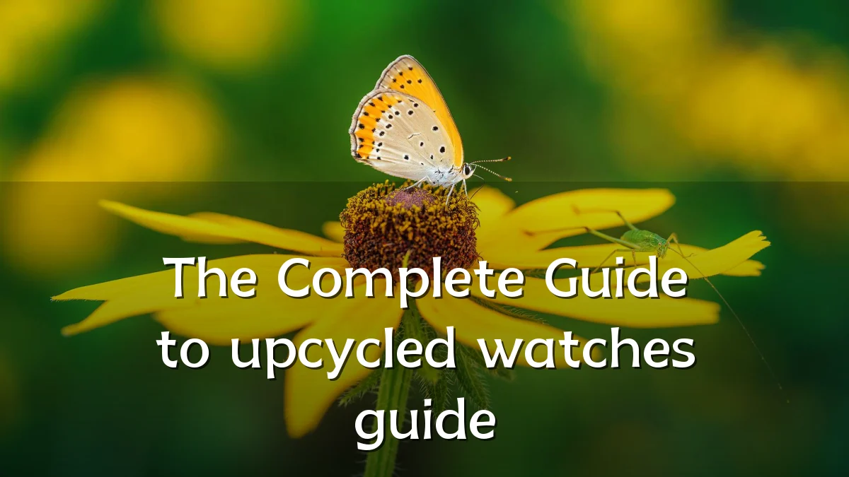 The Complete Guide to upcycled watches guide