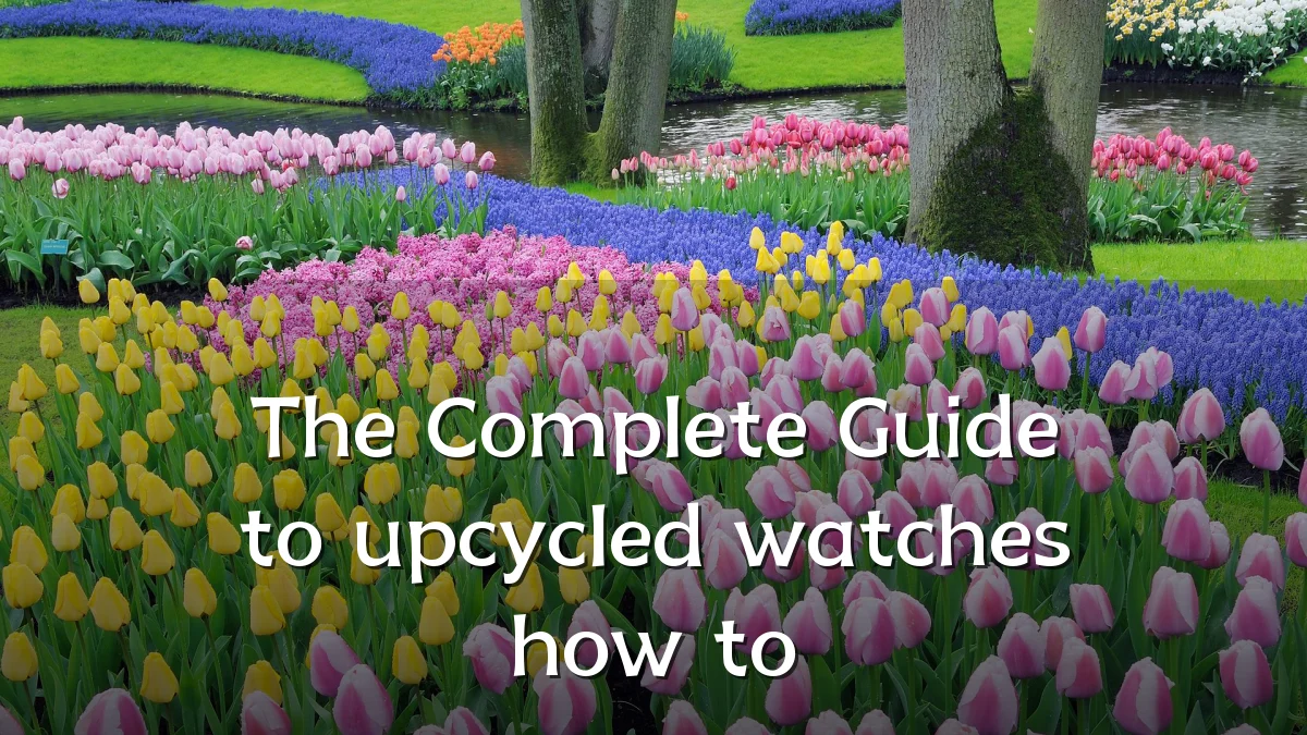 The Complete Guide to upcycled watches how to