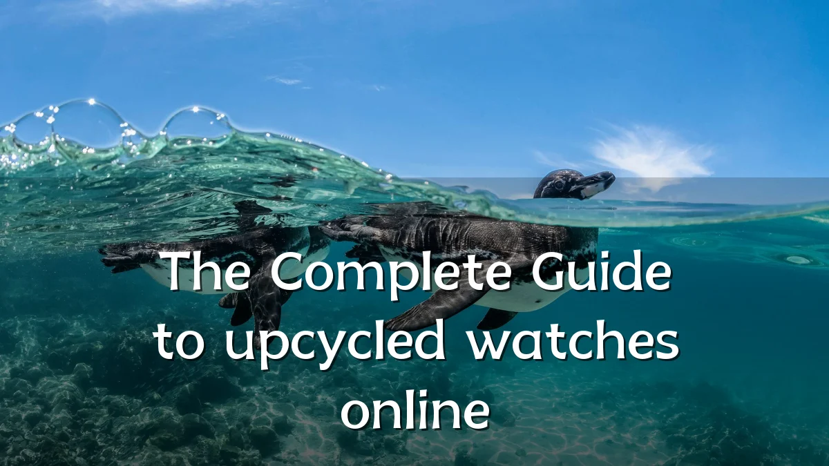 The Complete Guide to upcycled watches online