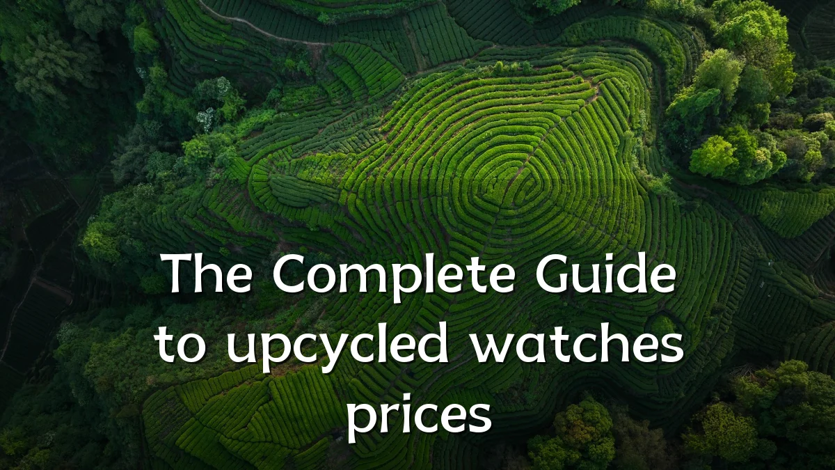 The Complete Guide to upcycled watches prices