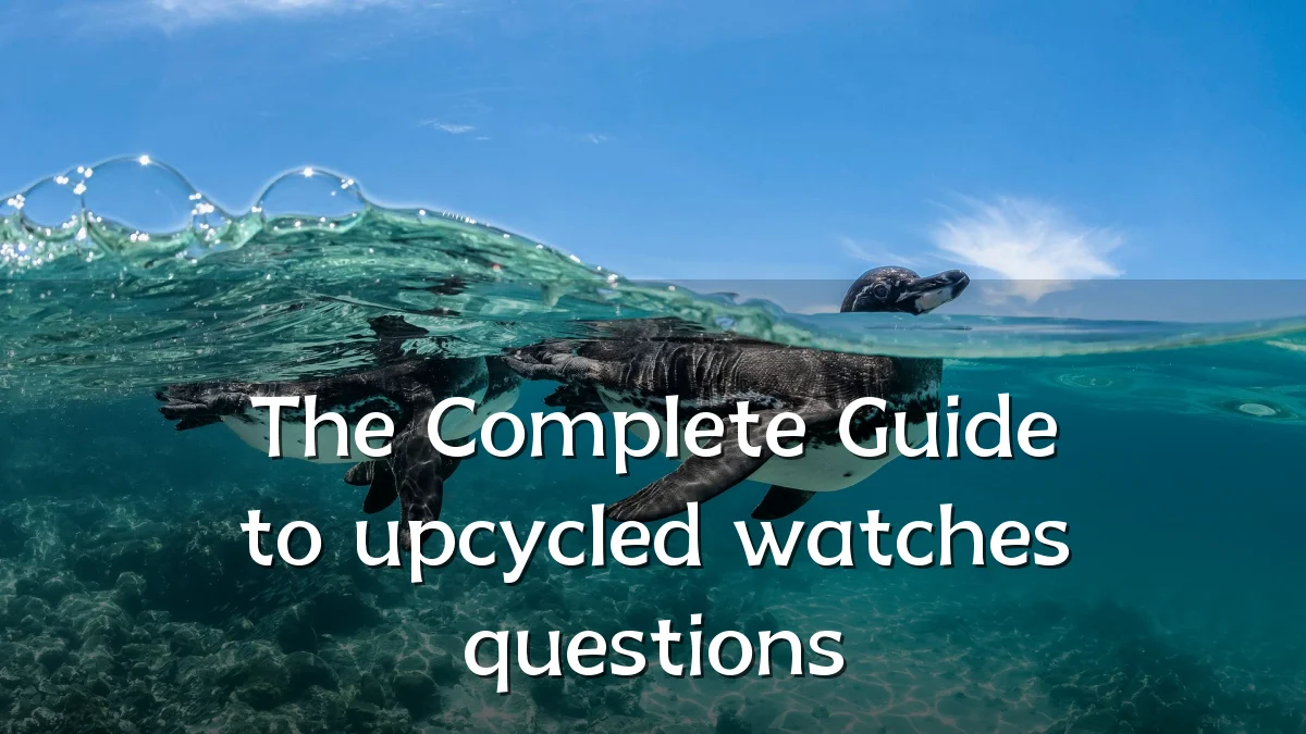 The Complete Guide to upcycled watches questions