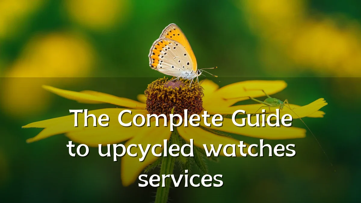 The Complete Guide to upcycled watches services