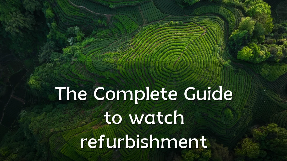 The Complete Guide to watch refurbishment