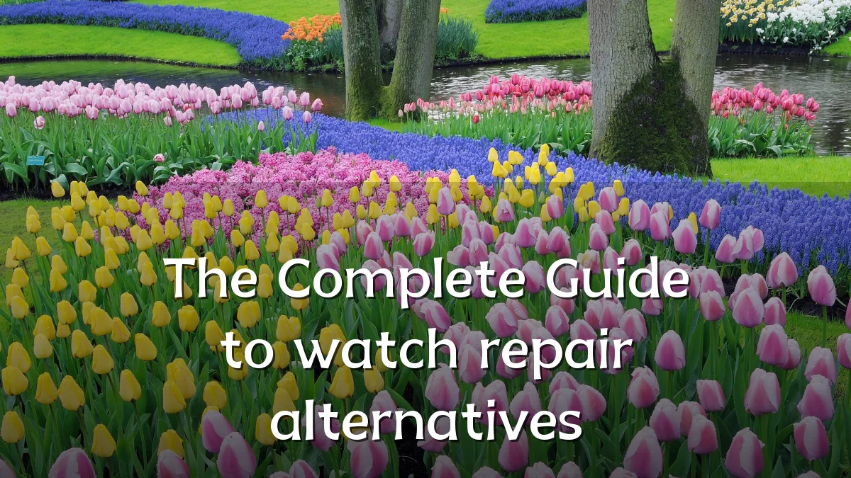 The Complete Guide to watch repair alternatives