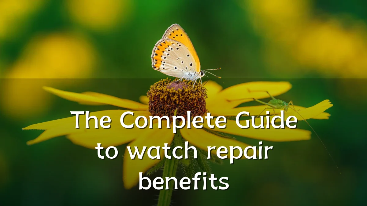 The Complete Guide to watch repair benefits