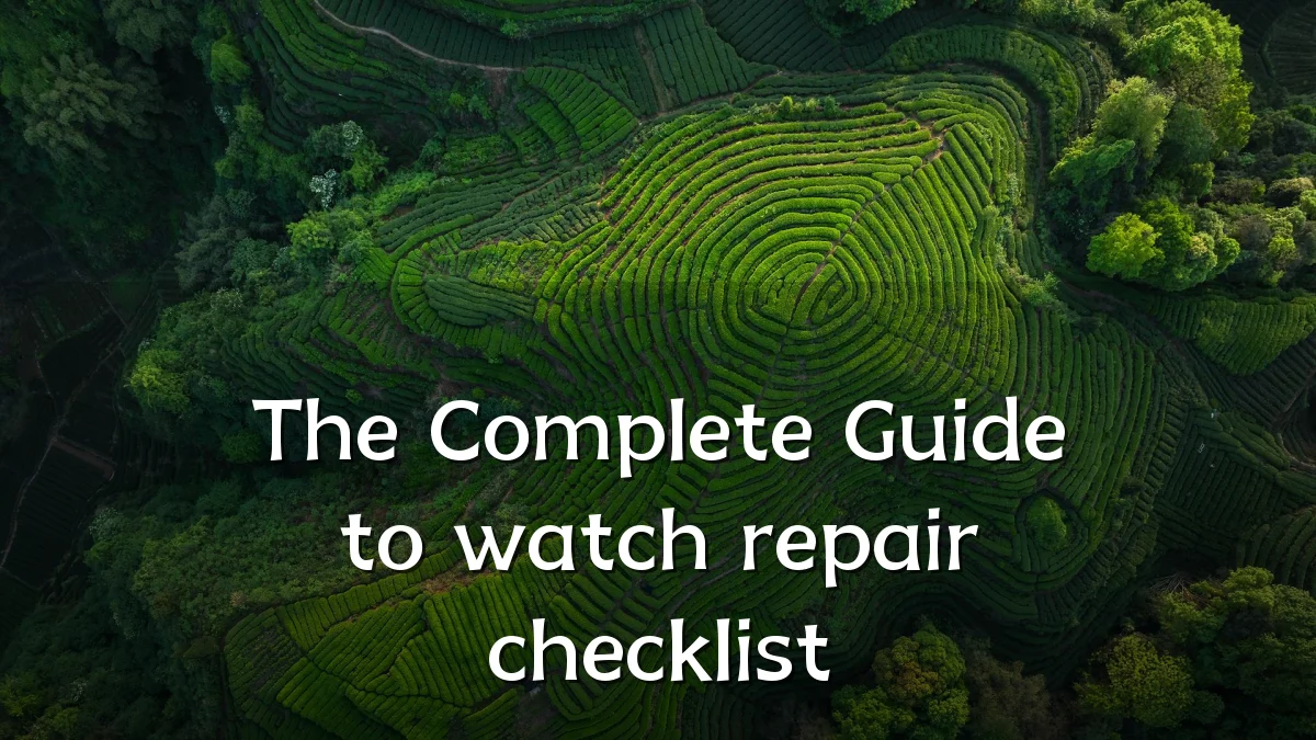 The Complete Guide to watch repair checklist
