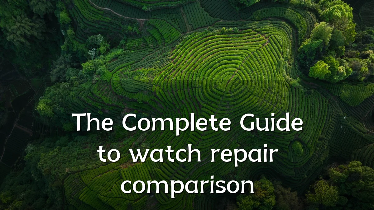 The Complete Guide to watch repair comparison