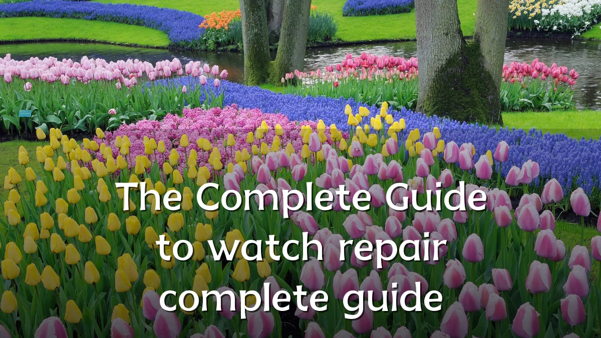 The Complete Guide to watch repair complete guide