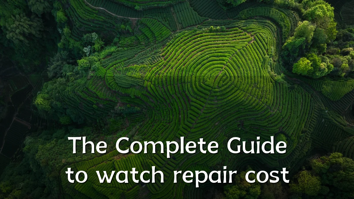 The Complete Guide to watch repair cost