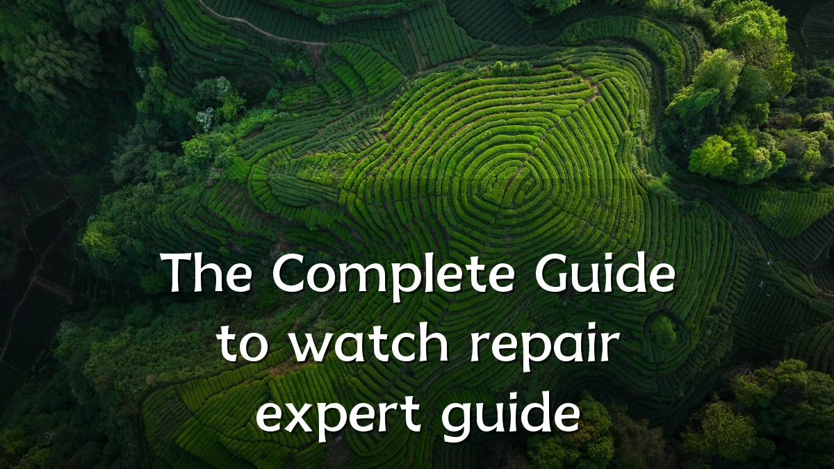 The Complete Guide to watch repair expert guide