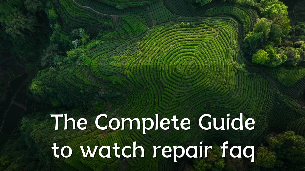 The Complete Guide to watch repair faq