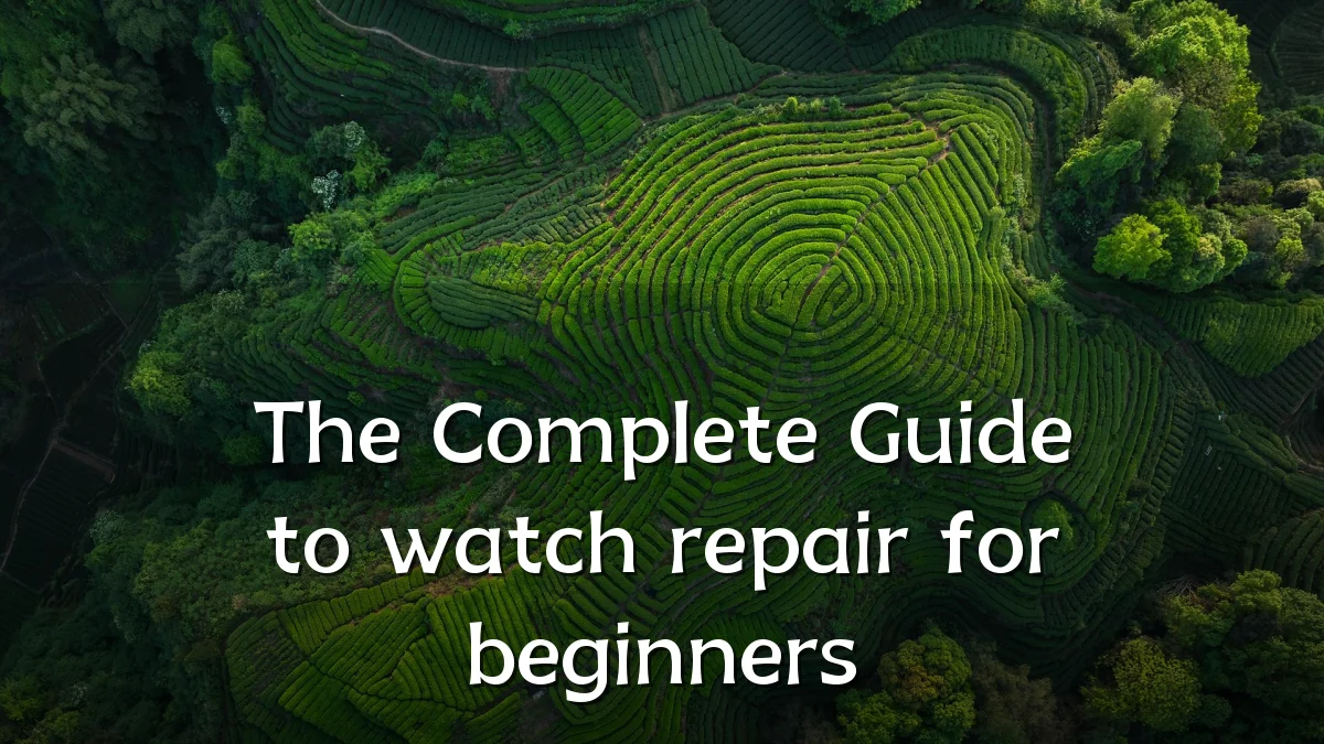 The Complete Guide to watch repair for beginners