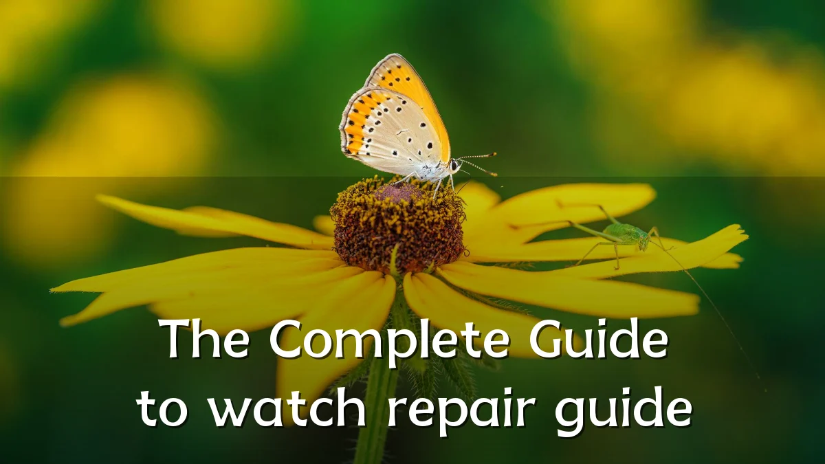 The Complete Guide to watch repair guide