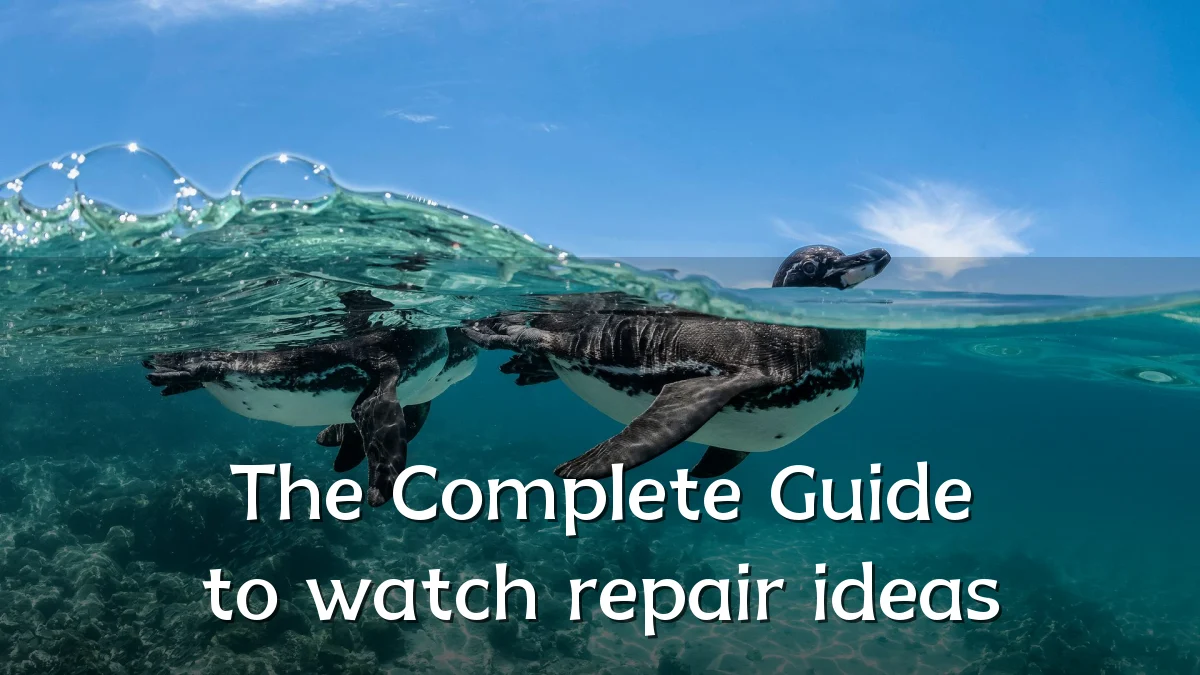 The Complete Guide to watch repair ideas