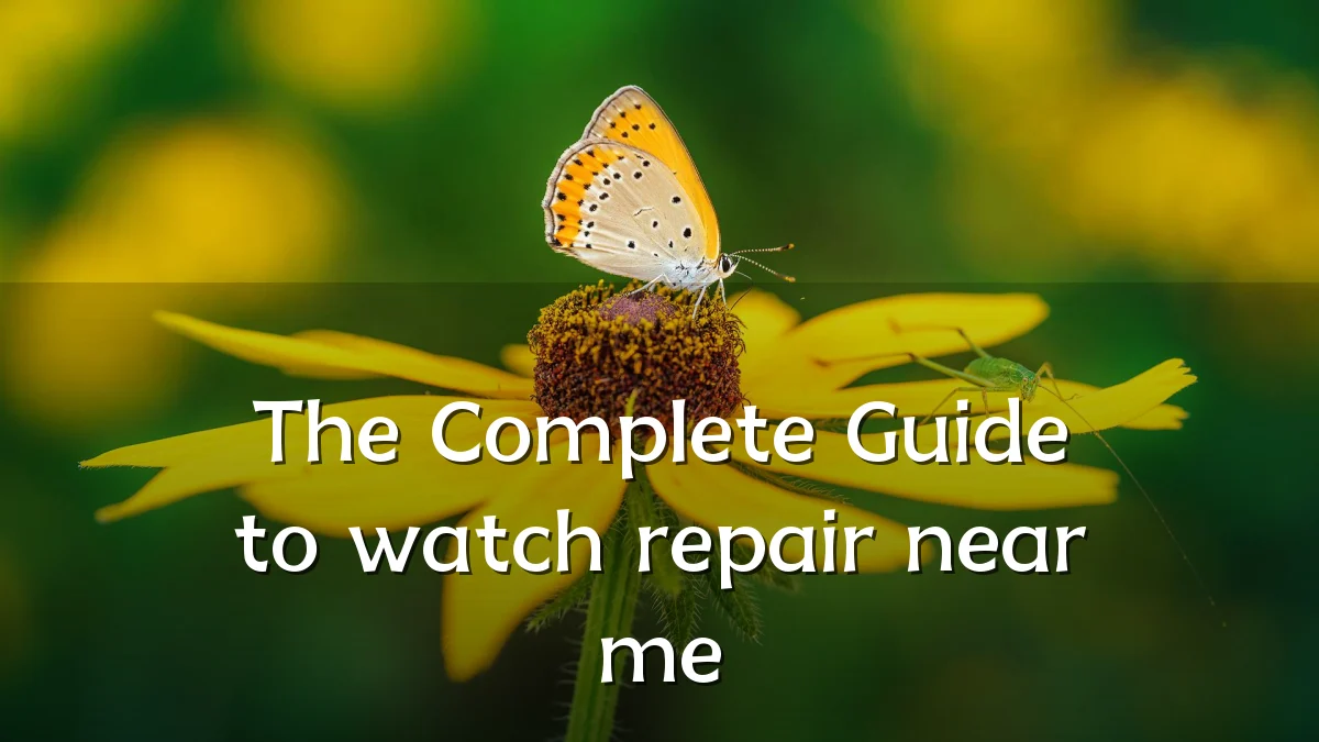The Complete Guide to watch repair near me