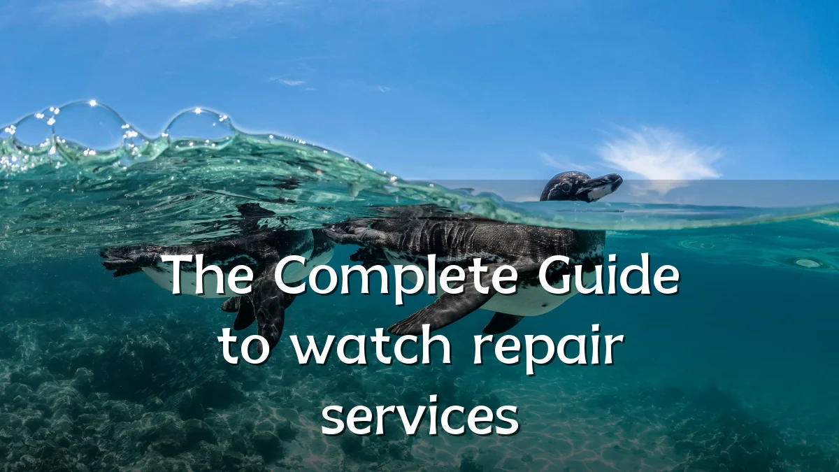 The Complete Guide to watch repair services