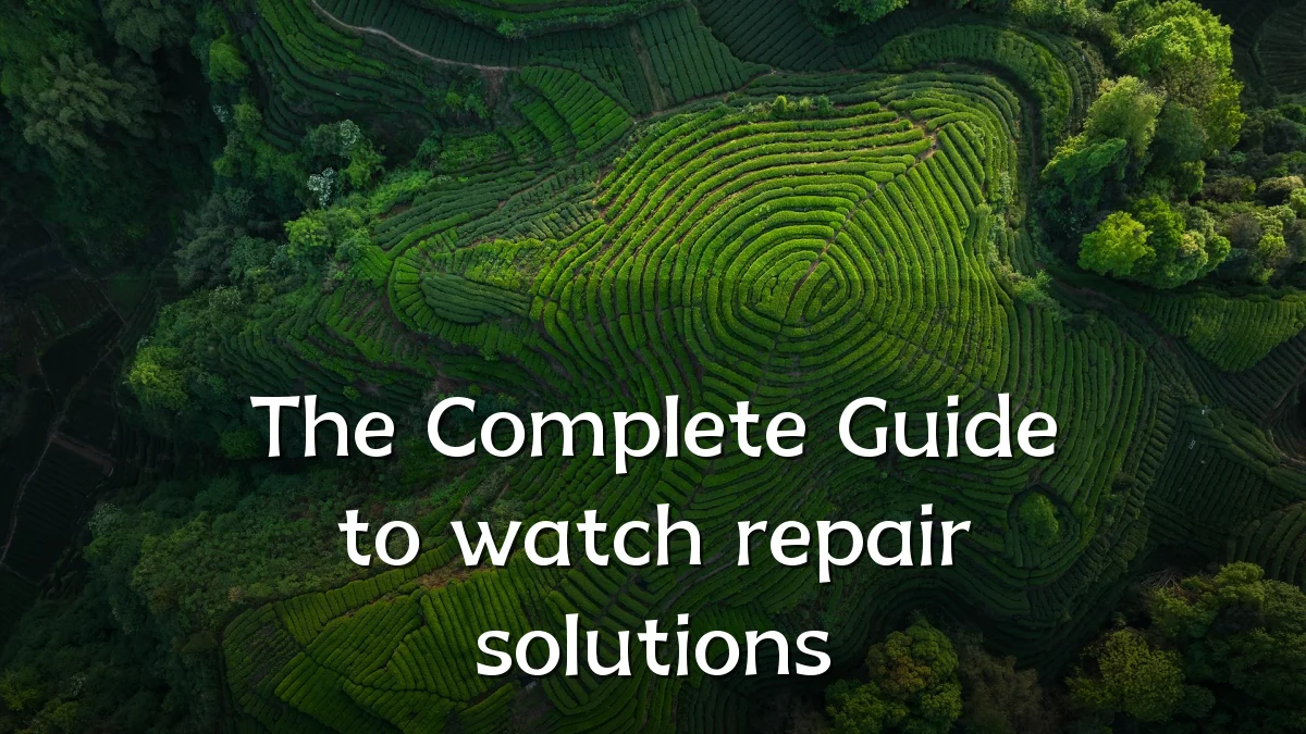 The Complete Guide to watch repair solutions