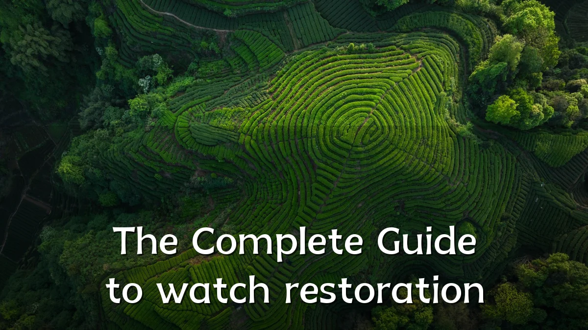 The Complete Guide to watch restoration