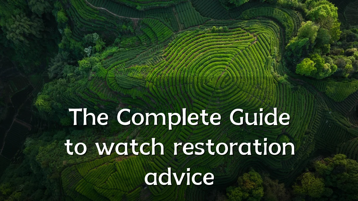 The Complete Guide to watch restoration advice