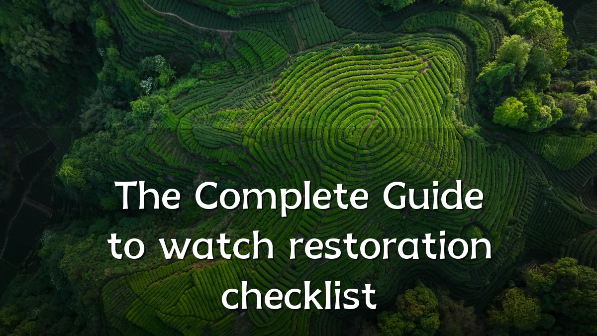 The Complete Guide to watch restoration checklist