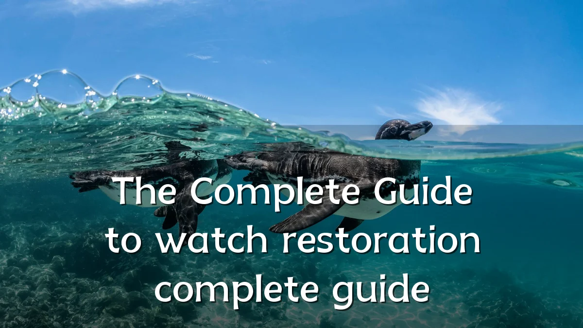 The Complete Guide to watch restoration complete guide