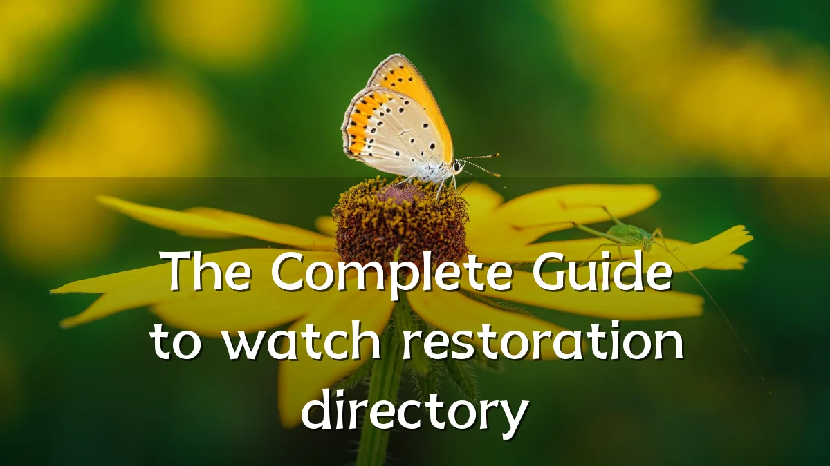 The Complete Guide to watch restoration directory