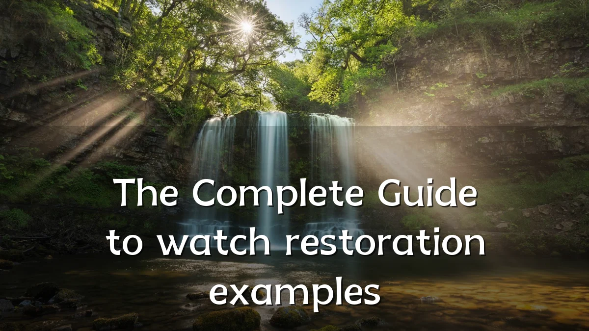 The Complete Guide to watch restoration examples