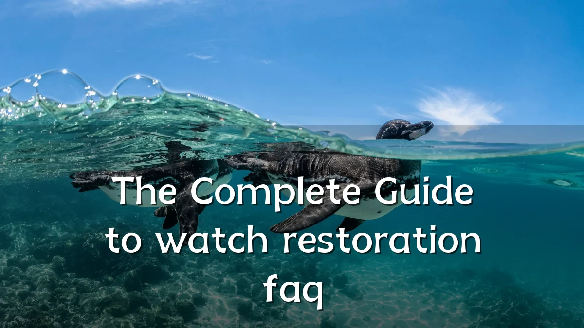 The Complete Guide to watch restoration faq
