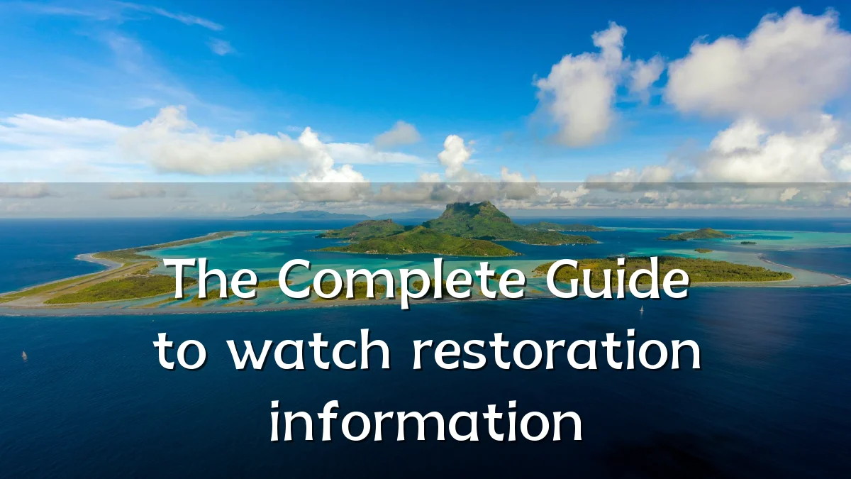 The Complete Guide to watch restoration information