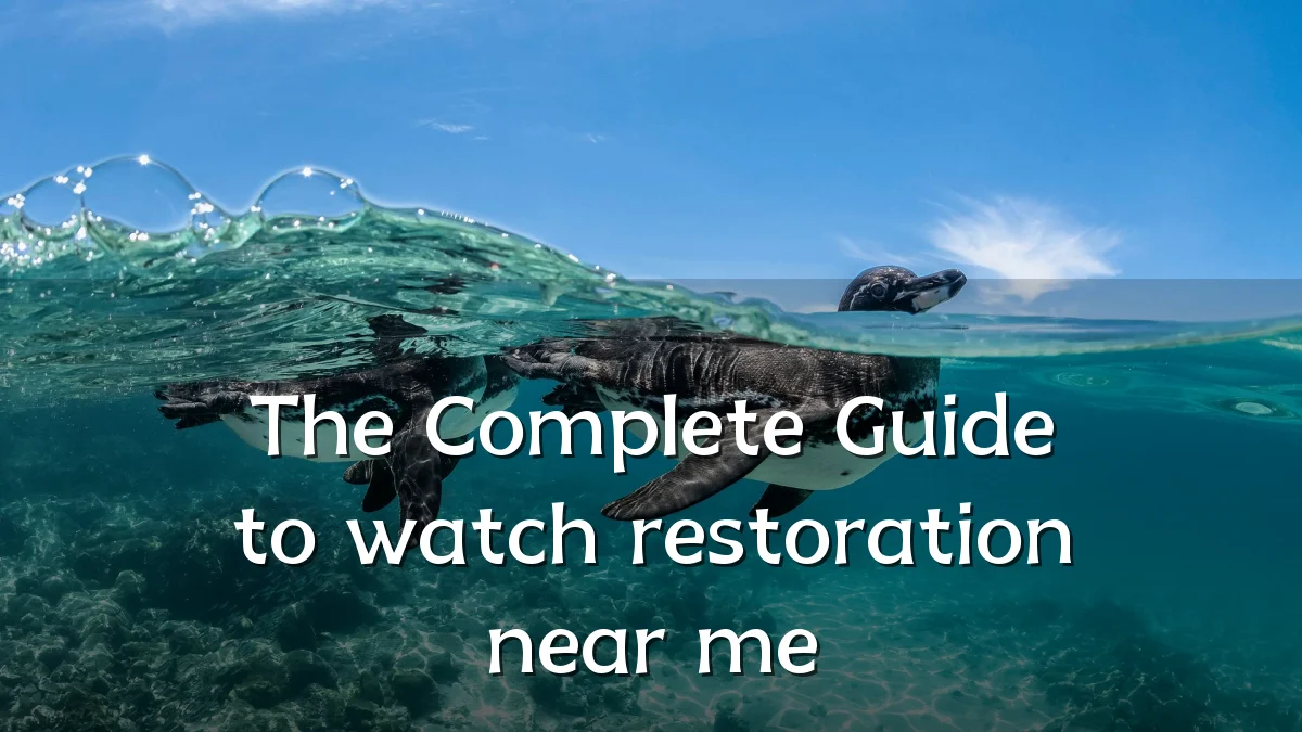 The Complete Guide to watch restoration near me